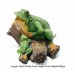 Frog On Wood Medium